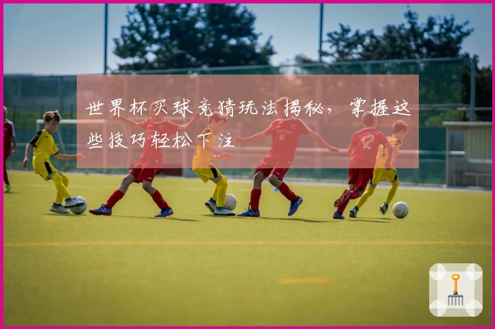 世界杯买球竞猜玩法揭秘，掌握这些技巧轻松下注